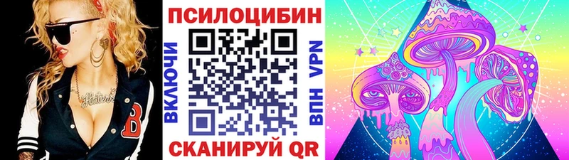 Псилоцибиновые грибы мицелий  купить наркотик  Чухлома 